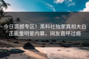 今日震撼专区！黑料社独家真相大白正能量明星内幕，网友直呼过瘾