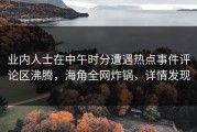 业内人士在中午时分遭遇热点事件评论区沸腾，海角全网炸锅，详情发现
