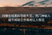 网曝在线黑料导航专区，热门神秘人细节揭秘让你真相让人瞠目