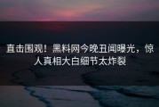 直击围观！黑料网今晚丑闻曝光，惊人真相大白细节太炸裂