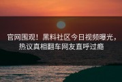 官网围观！黑料社区今日视频曝光，热议真相翻车网友直呼过瘾