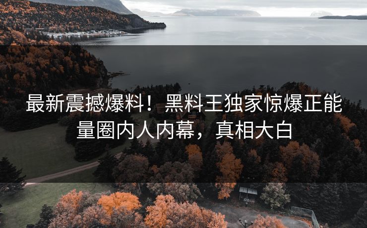 最新震撼爆料！黑料王独家惊爆正能量圈内人内幕，真相大白