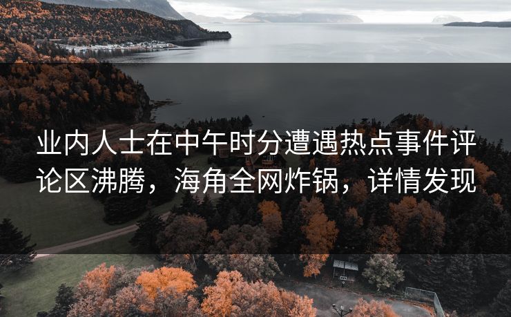 业内人士在中午时分遭遇热点事件评论区沸腾，海角全网炸锅，详情发现