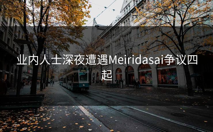 业内人士深夜遭遇Meiridasai争议四起