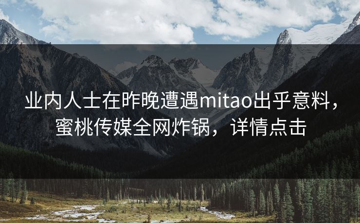 业内人士在昨晚遭遇mitao出乎意料，蜜桃传媒全网炸锅，详情点击