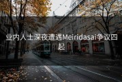 业内人士深夜遭遇Meiridasai争议四起