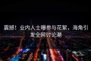 震撼！业内人士曝参与花絮，海角引发全网讨论潮