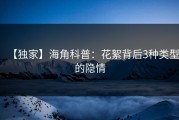 【独家】海角科普：花絮背后3种类型的隐情