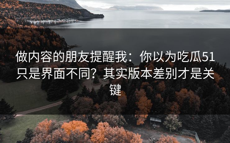 做内容的朋友提醒我：你以为吃瓜51只是界面不同？其实版本差别才是关键